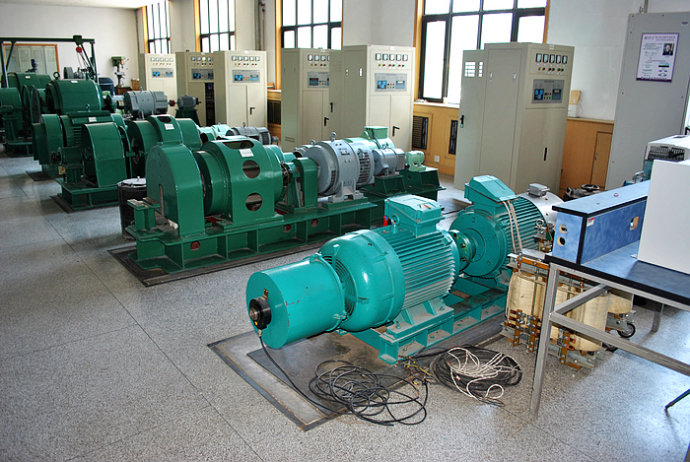 Y5006-8某热电厂使用我厂的YKK高压电机提供动力