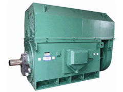 Y5006-8Y系列6KV高压电机
