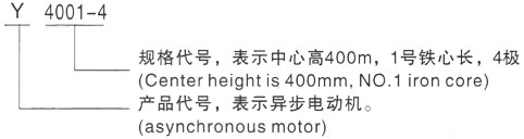 西安泰富西玛Y系列(H355-1000)高压Y5006-8三相异步电机型号说明