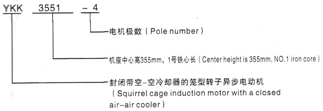 YKK系列(H355-1000)高压Y5006-8三相异步电机西安泰富西玛电机型号说明